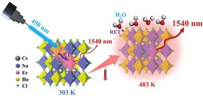 Surface Vibration-Mediated and Multiphonon Relaxation-Assisted Antithermal-Quenching Shortwave Infrared Emission in Ho-Based Double Perovskite With Long Lifetime