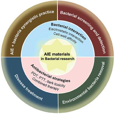 Expanding Our Horizons: AIE Materials in Bacterial Research.