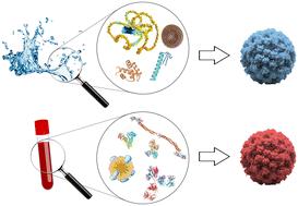 Understanding the role of biomolecular coronas in human exposure to nanomaterials