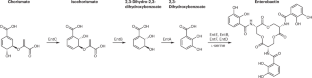 Bacterial siderophores: diversity, uptake pathways and applications