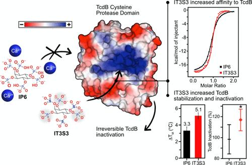 Structure–Activity Relationship of Inositol Thiophosphate Analogs as Allosteric Activators of Clostridioides difficile Toxin B