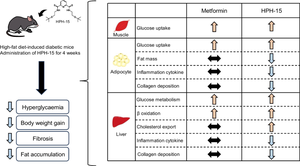 An antifibrotic compound that ameliorates hyperglycaemia and fat accumulation in cell and HFD mouse models