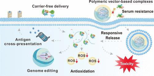 Rational Engineering of Cytosolic Delivery Systems for Protein Therapeutics