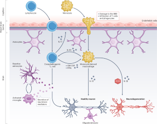 Targeting cytokine networks in neuroinflammatory diseases