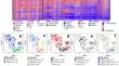 Integrated analyses reveal two molecularly and clinically distinct subtypes of H3 K27M-mutant diffuse midline gliomas with prognostic significance