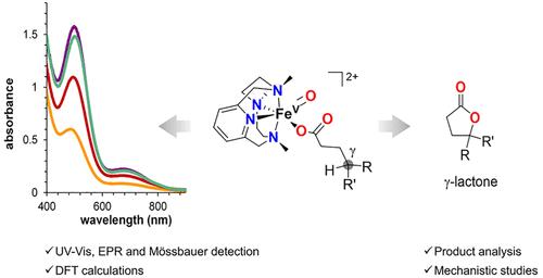 Intramolecular C–H Oxidation in Iron(V)-oxo-carboxylato Species Relevant in the γ-Lactonization of Alkyl Carboxylic Acids