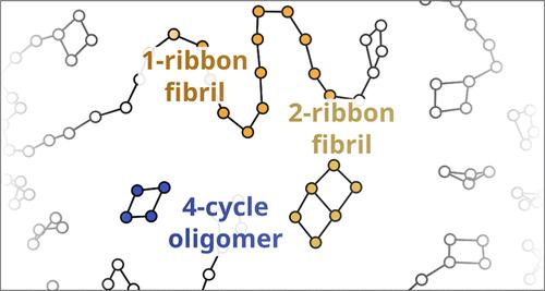 Production of Distinct Fibrillar, Oligomeric, and Other Aggregation States from Network Models of Multibody Interaction