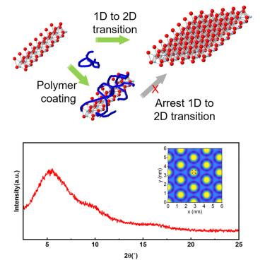 Tuning the 1D-to-2D transition in lepidocrocite titanate nanofilaments via polymer wrapping