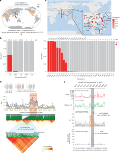 An IGHG1 variant exhibits polarized prevalence and confers enhanced IgG1 antibody responses against life-threatening organisms