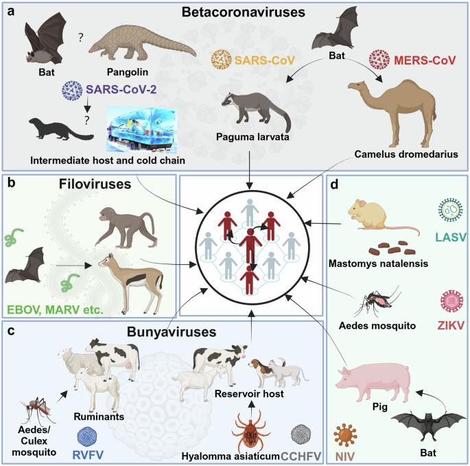 Emerging and reemerging infectious diseases: global trends and new strategies for their prevention and control