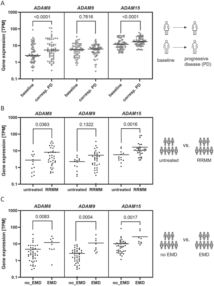 Association of ADAM family members with proliferation signaling and disease progression in multiple myeloma