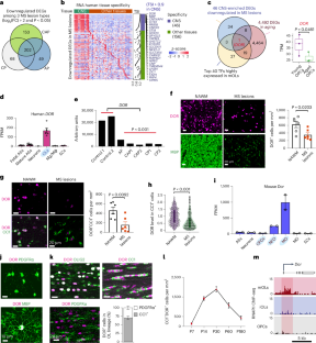 DOR activation in mature oligodendrocytes regulates α-ketoglutarate metabolism leading to enhanced remyelination in aged mice