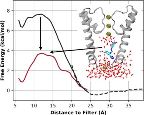 Small Molecule NS11021 Promotes BK Channel Activation by Increasing Inner Pore Hydration