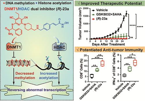 Development of a First-in-Class DNMT1/HDAC Inhibitor with Improved Therapeutic Potential and Potentiated Antitumor Immunity