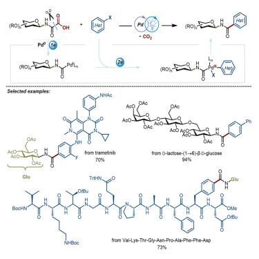 Direct construction of aryl amide N-glycosides from glycosyl oxamic acids via photoredox palladium-catalyzed aminocarbonylations