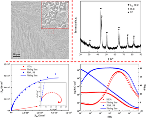 Corrosion behavior of as-cast Al0.75CoCr1.25FeNi high entropy alloy in 0.5 mol/L sulfuric acid