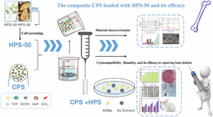 Preparation of composite calcium phosphate cement scaffold loaded with Hedysarum polysaccharides and its efficacy in repairing bone defects.