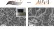 Disintegrated carbon nanofibers derived from plasma treatment for highly stable sodium metal batteries