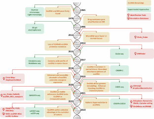 Bioinformatics advances in eccDNA identification and analysis.