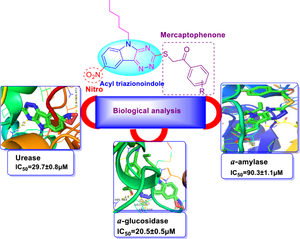 Exploring Acyl Thiotriazinoindole Based Pharmacophores: Design, Synthesis, and SAR Studies with Molecular Docking and Biological Activity Profiling against Urease, α-amylase, α-glucosidase, Antimicrobial, and Antioxidant Targets.