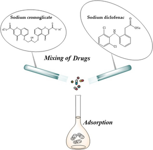 Competitive sorption of two anionic drugs on chitosan