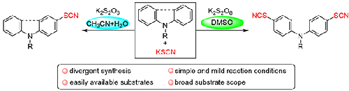 Solvent-Controlled Divergent Synthesis of Thiocyanated Carbazoles and Di/Triphenylamines