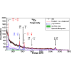 Proton and neutron contributions to the quadrupole transition strengths in Ca39 and K39 studied by lifetime measurements of mirror transitions