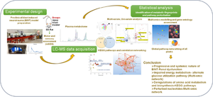 Mild Blast Exposure Dysregulates Metabolic Pathways and Correlation Networking as Evident from LC-MS-Based Plasma Profiling.