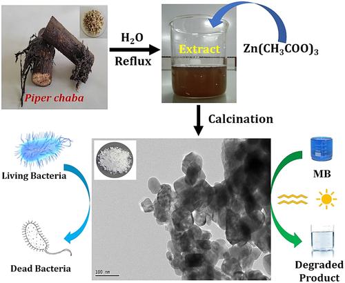 Piper chaba Stem Extract Assisted Facile Synthesis of Zinc Oxide Nanoparticles for Photocatalytic and Antimicrobial Applications