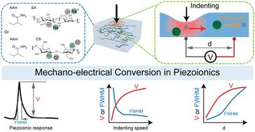 A universal framework for determining the effect of operating parameters on piezoionic voltage generation†