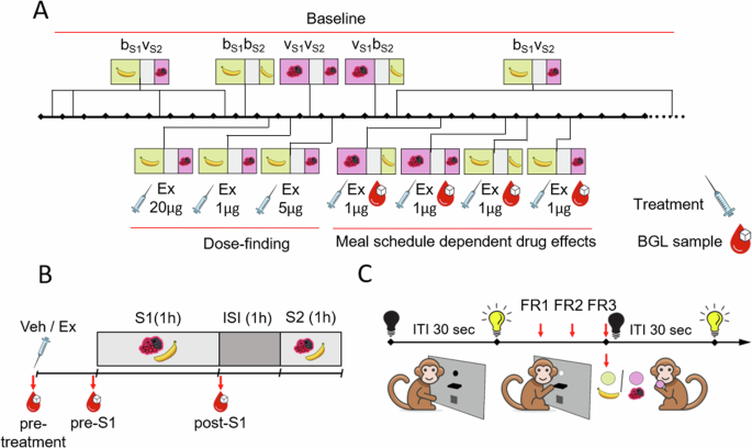 GLP-1 receptor agonist exenatide uncouples food intake from hedonic and anticipatory regulation in non-human primates: insights from an operant meal schedule paradigm.