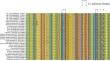 Insights into ACO genes across Rosaceae: evolution, expression, and regulatory networks in fruit development.