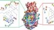 Structural insights into Furin enzyme inhibition to block SARS-CoV-2 spike protein cleavage: an in-silico approach.