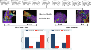 The importance of electrode-tissue proximity in creating pulsed field ablation lesions: insights from a sub-acute preclinical model.