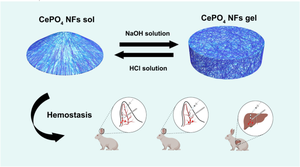 pH-controlled reversible sol-gel inversion by cerous phosphate nanofibers for hemostasis