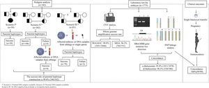 Technically feasible solutions to challenges in preimplantation genetic testing for thalassemia: experiences of multiple centers between 2019 and 2022