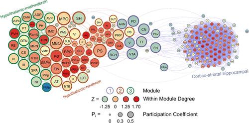 Sex differences in neural networks recruited by frontloaded binge alcohol drinking