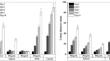 The chemical composition and antifungal activity of cork from Quercus variabilis