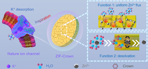 Biological ion channel inspired interfacial protection layer for high-performance zinc-ion batteries