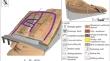 Reactivated mechanism of a slow-moving landslide with two shear zones based on ring shear test and in situ monitoring