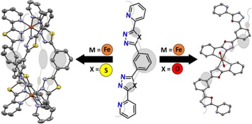Crucial Role of the Heteroatom and Bite Angle Influencing Spin States and Dinuclear Fe(II) Helicate Formation in 1,3,4-Thia/Oxadiazole Ligand