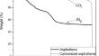 Production and characterization of activated carbons from asphaltene by carbon dioxide and steam for ibuprofen adsorption