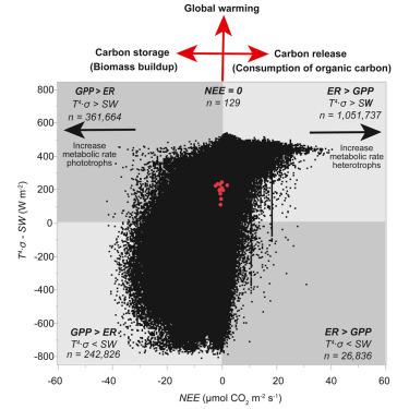 Toward a fundamental understanding of ecosystem metabolism responses to global warming