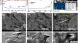 Non-enzymatic approach of H2O2 and glucose sensing using NiO–MoS2-derived electrochemical sensor