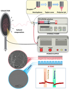 High-performance triboelectric nanogenerator based on biocompatible electrospun polycaprolactone nanofiber and counter convex PDMS for low-frequency mechanical energy harvesting