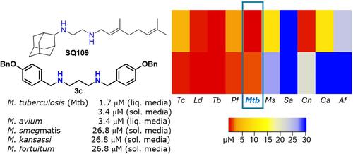 Repurposing antiparasitic N,N′‐aliphatic diamine derivatives as promising antimycobacterial agents