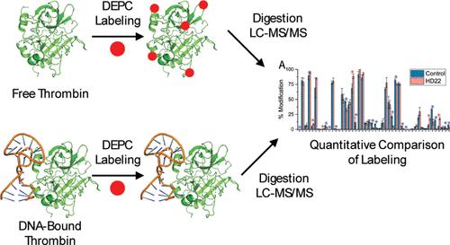 Investigating Protein-Nucleic Acid Binding Interactions with Diethylpyrocarbonate Covalent Labeling-Mass Spectrometry.