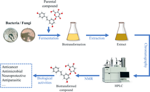 Biotransformation of selected secondary metabolites by Alternaria species and the pharmaceutical, food and agricultural application of biotransformation products