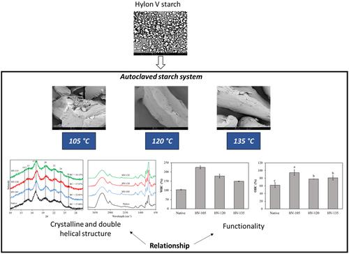 Autoclaved Starch: Structure and Functionality Relationship in a Matrix With the Same Contribution of Amylose and Amylopectin