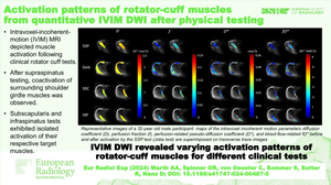 Activation patterns of rotator-cuff muscles from quantitative IVIM DWI after physical testing.